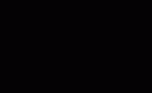 rhino-logo