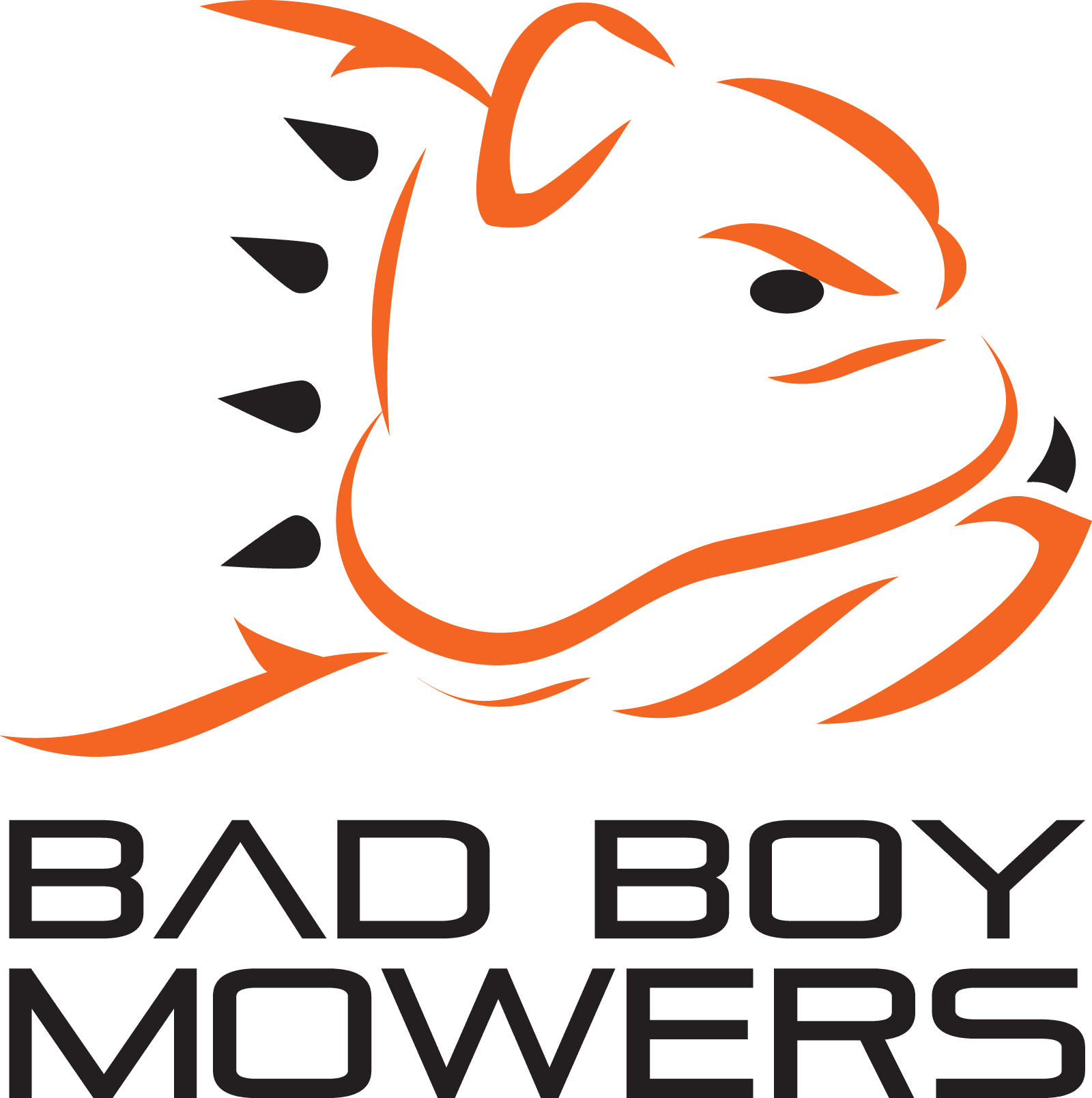 Bad Boy Logo